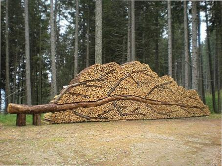 Laying firewood in the form of a tree